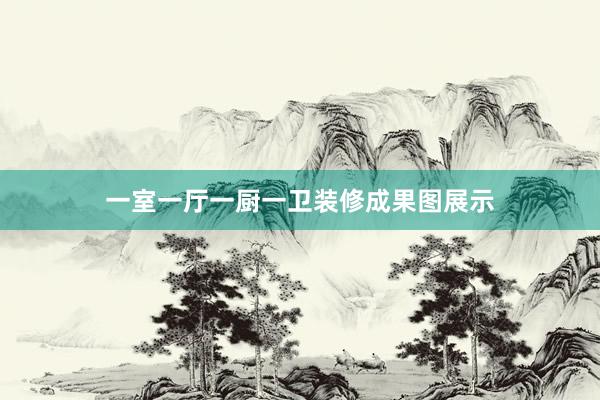 一室一厅一厨一卫装修成果图展示