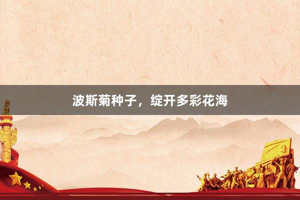波斯菊种子，绽开多彩花海